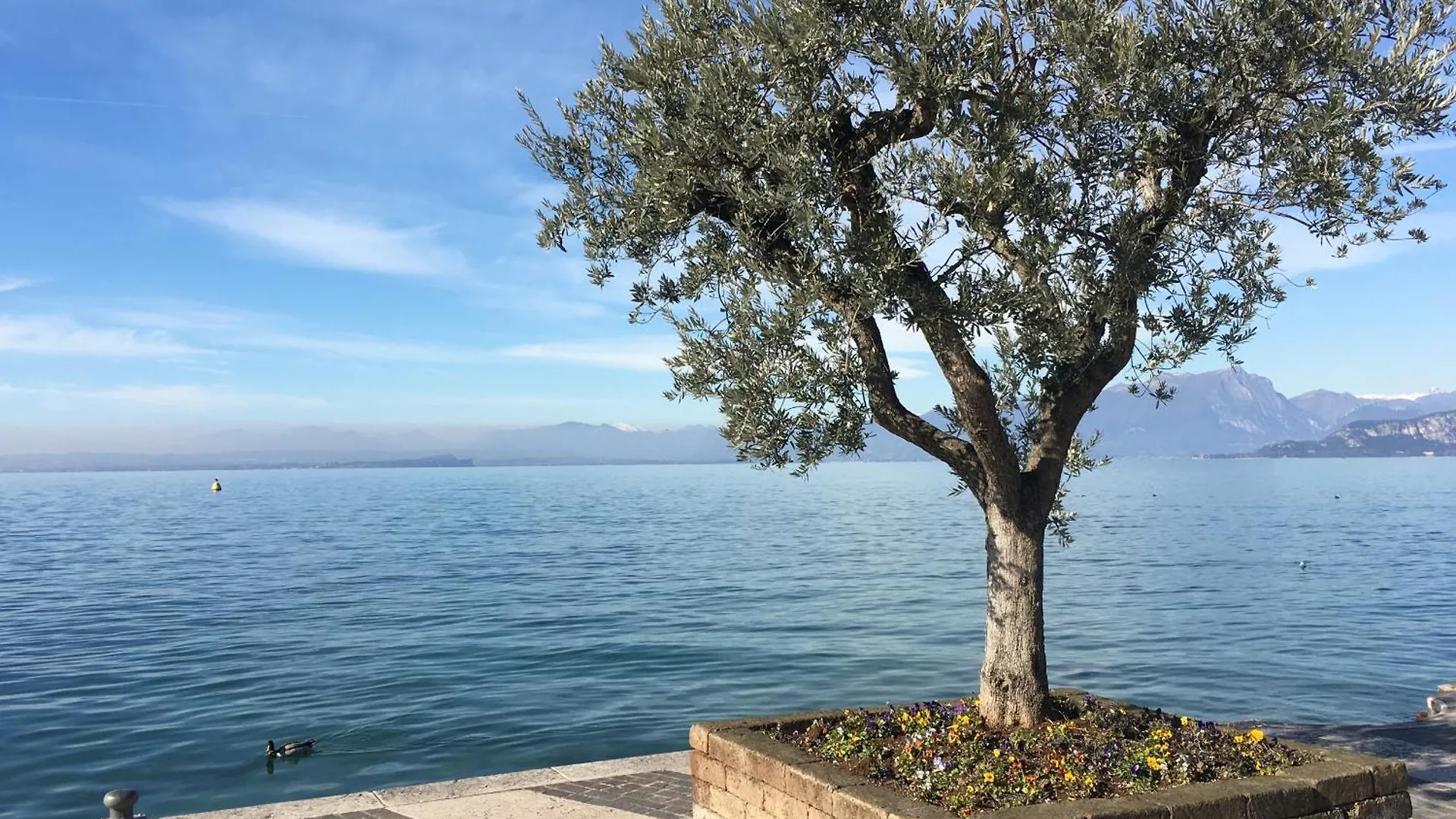 My Peschiera Family Home Xl Peschiera del Garda Italy